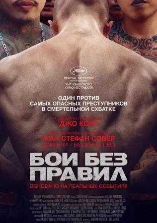 Бои без правил (фильм 2017)