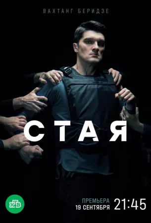 Стая (сериал 2022)